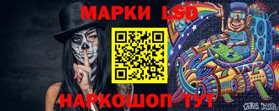 гидра Будённовск