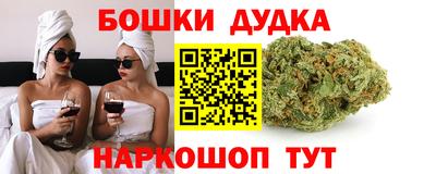 гидра Будённовск