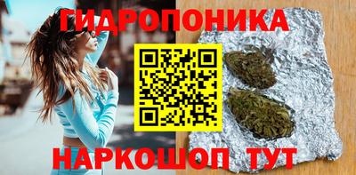 гидра Будённовск
