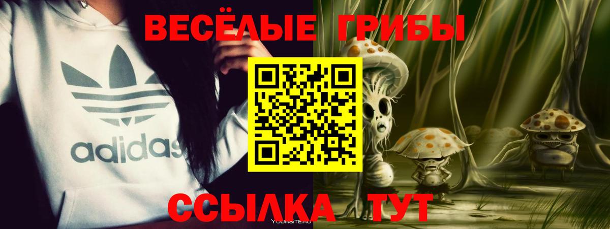 Галлюциногенные грибы мицелий  Вход с VPN  Галлюциногенные грибы Magic Shrooms  где купить наркотик  Саратов 